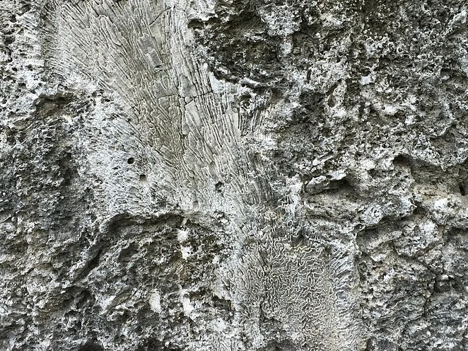 Mercan Taşı