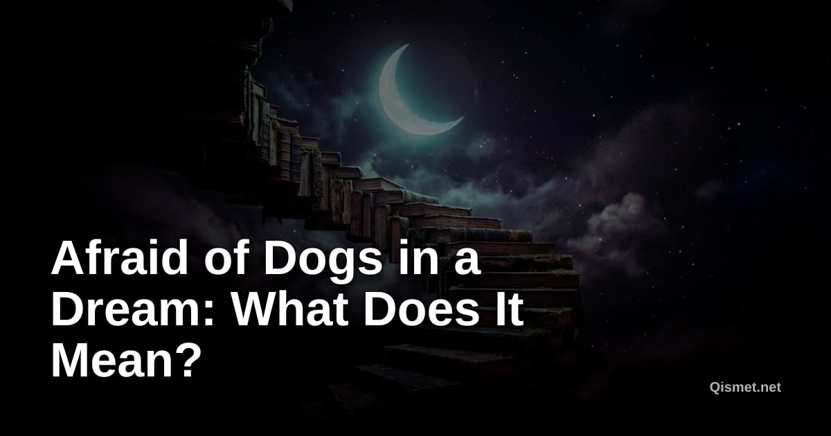 Afraid of Dogs in a Dream: What Does It Mean?