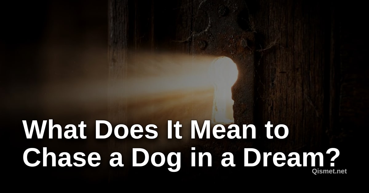 What Does It Mean to Chase a Dog in a Dream?