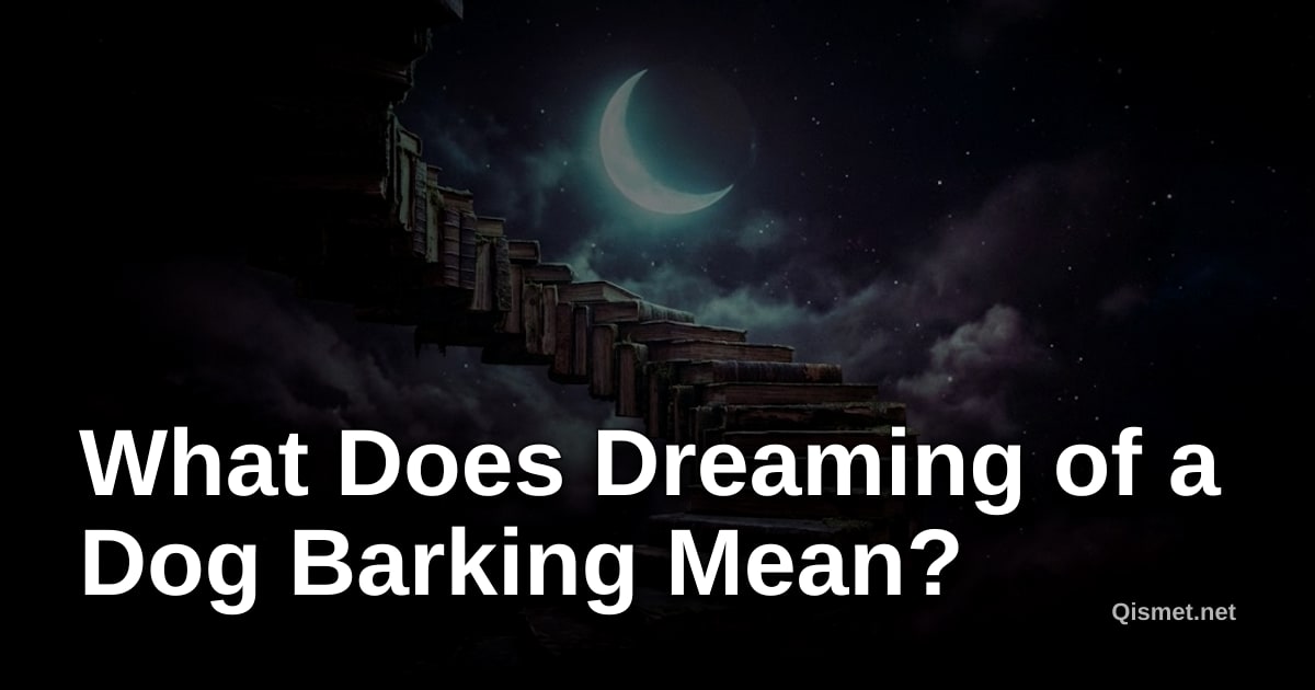 What Does Dreaming of a Dog Barking Mean?