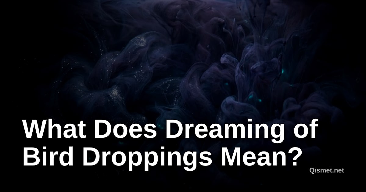 What Does Dreaming of Bird Droppings Mean?