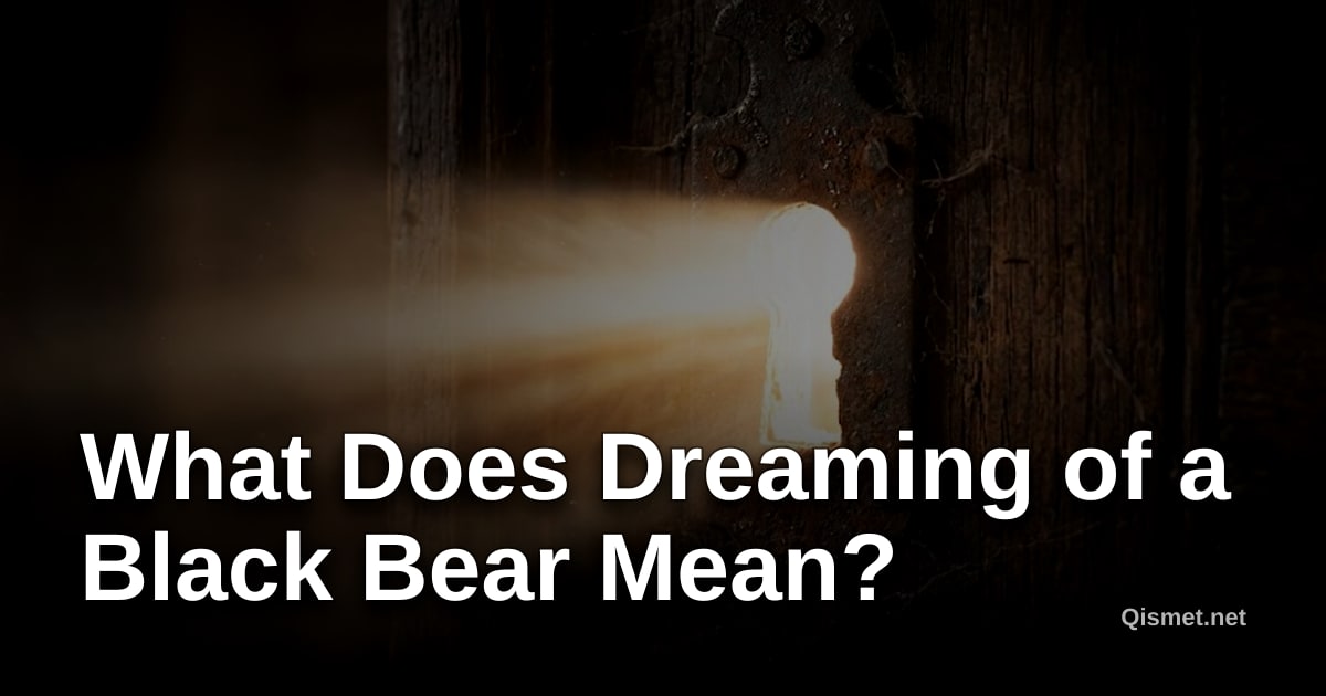 What Does Dreaming of a Black Bear Mean?