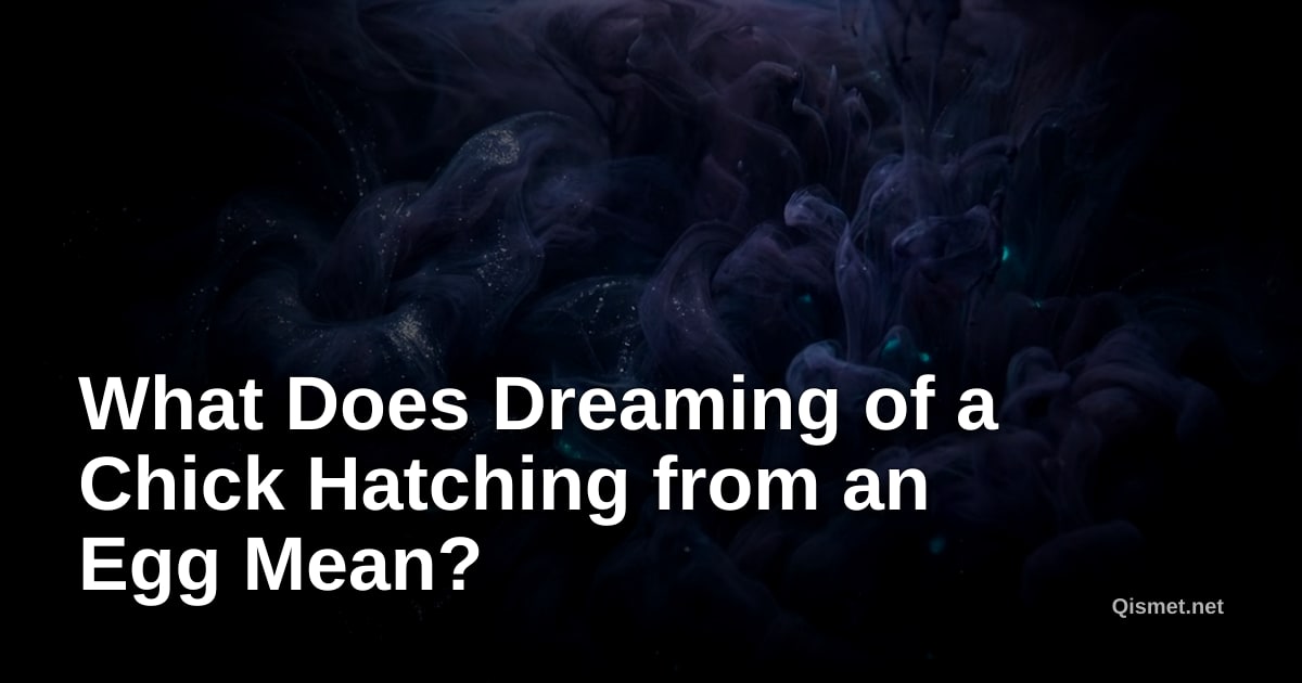 What Does Dreaming of a Chick Hatching from an Egg Mean?