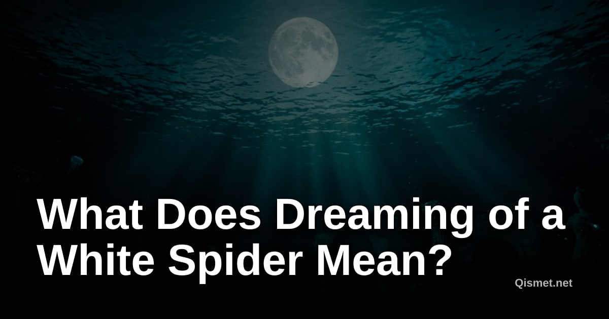 What Does Dreaming of a White Spider Mean?