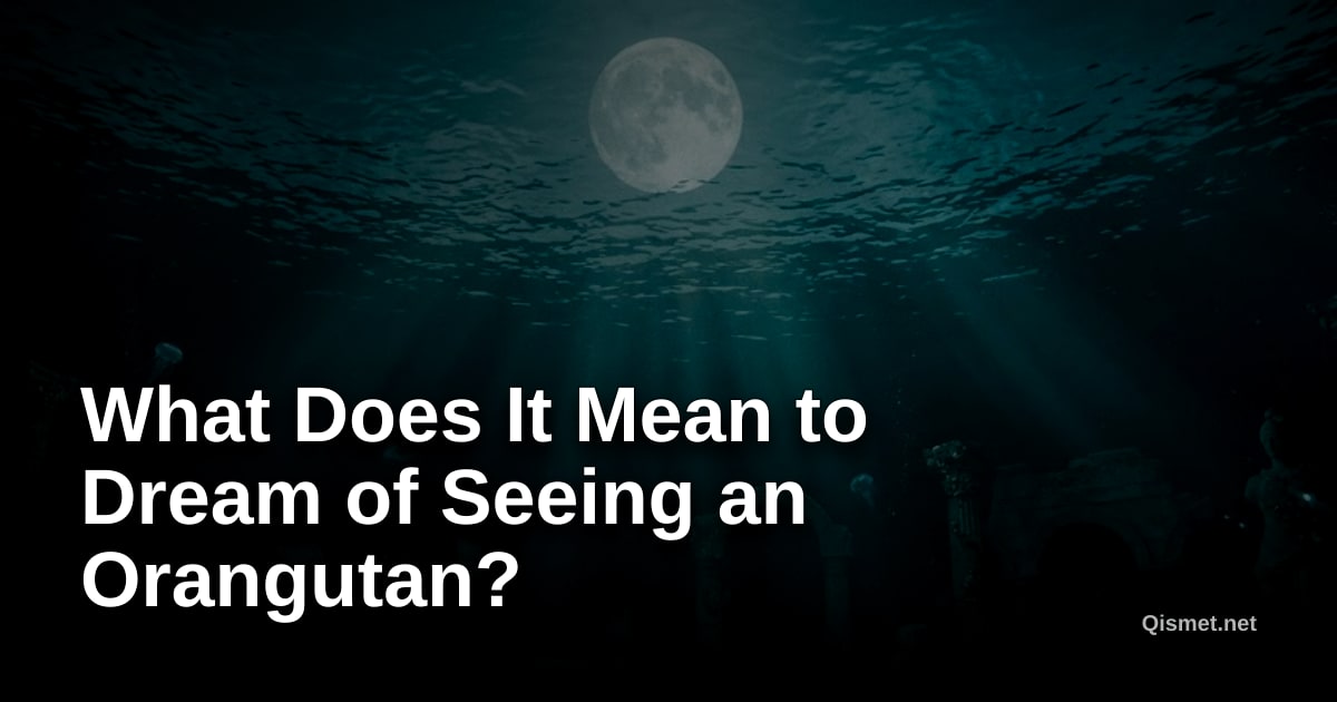 What Does It Mean to Dream of Seeing an Orangutan?
