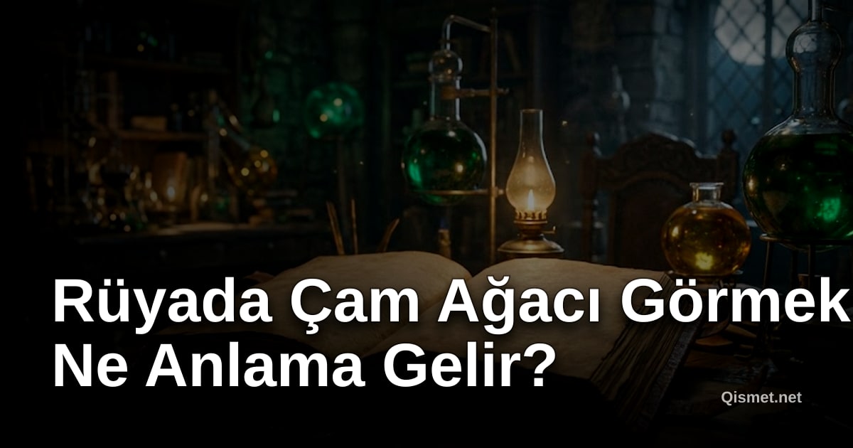 Rüyada Çam Ağacı Görmek Ne Anlama Gelir?