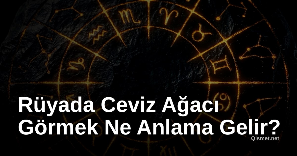 Rüyada Ceviz Ağacı Görmek Ne Anlama Gelir?