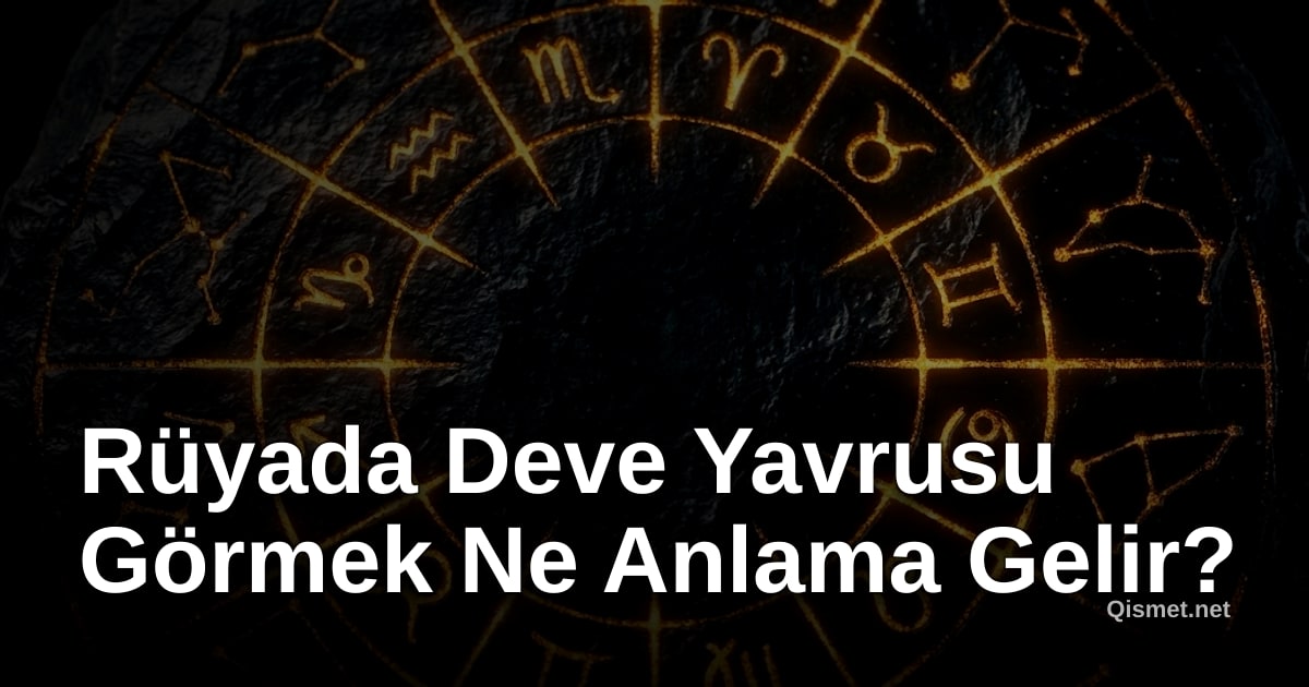 Rüyada Deve Yavrusu Görmek Ne Anlama Gelir?