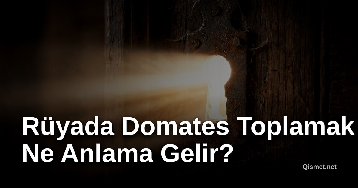 Rüyada Domates Toplamak Ne Anlama Gelir?