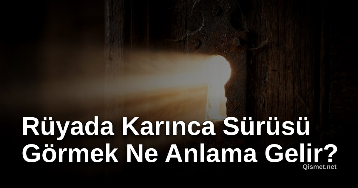 Rüyada Karınca Sürüsü Görmek Ne Anlama Gelir?