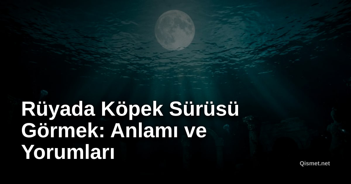 Rüyada Köpek Sürüsü Görmek: Anlamı ve Yorumları