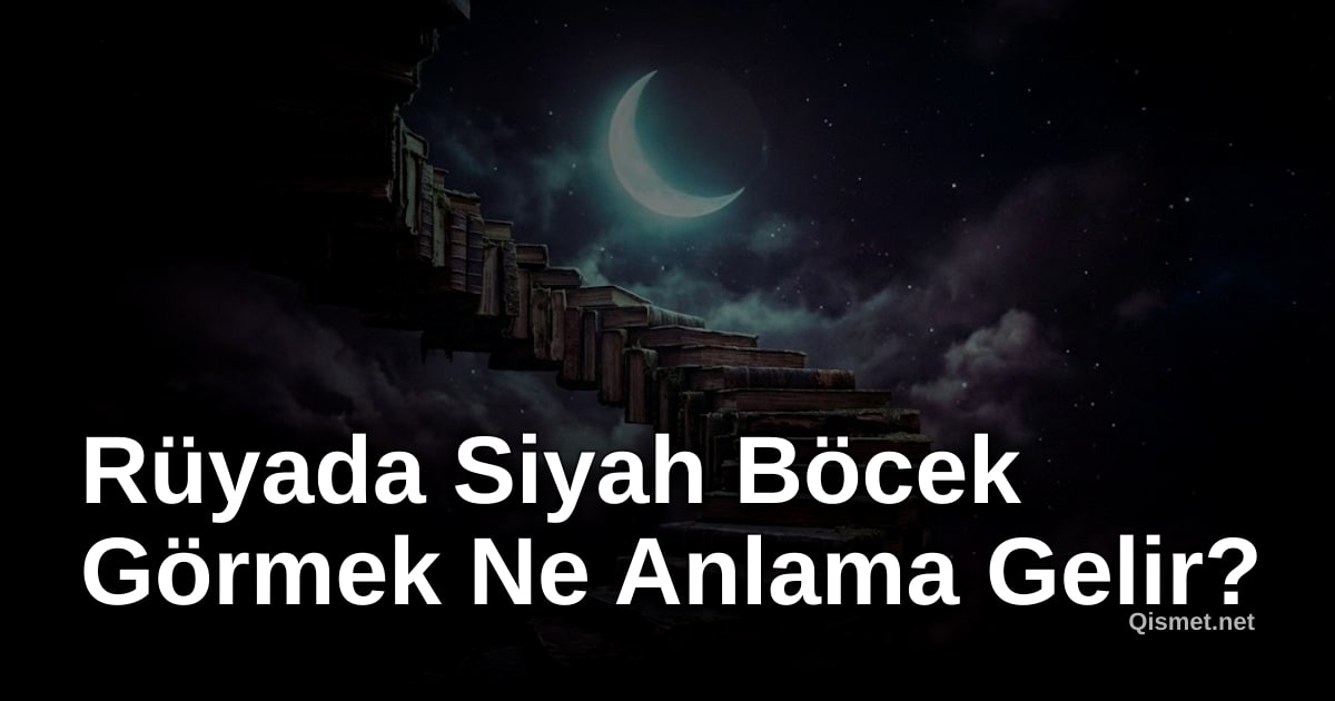 Rüyada Siyah Böcek Görmek Ne Anlama Gelir?