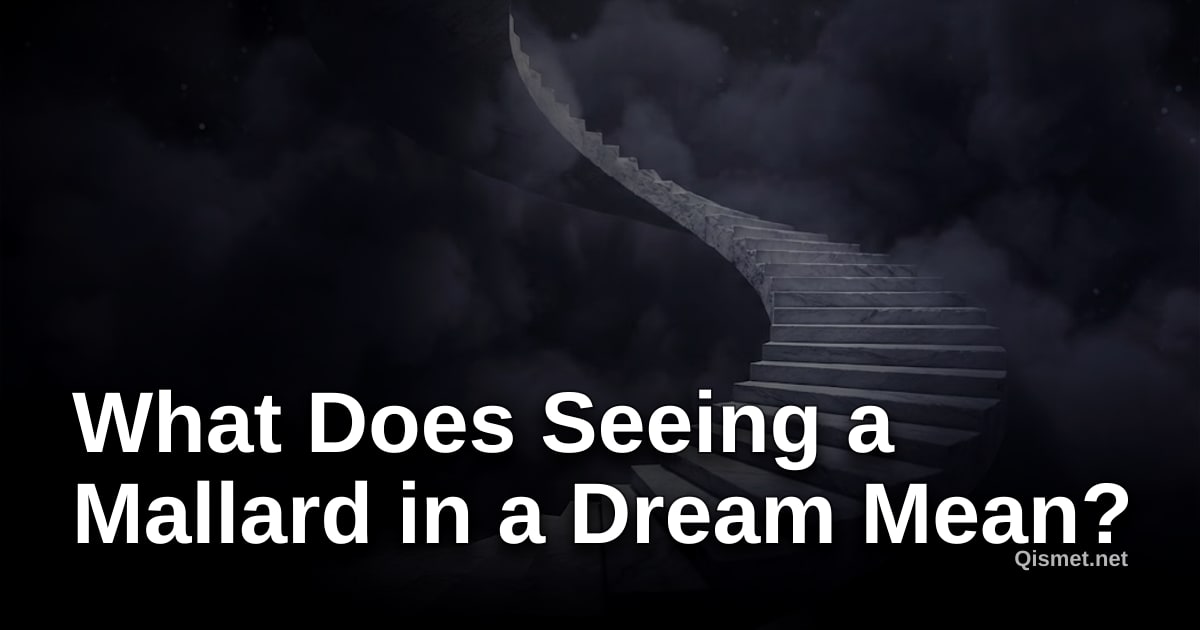 What Does Seeing a Mallard in a Dream Mean?