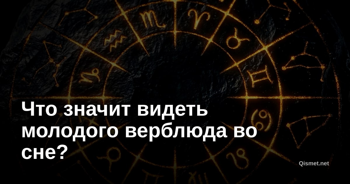 Что значит видеть молодого верблюда во сне?