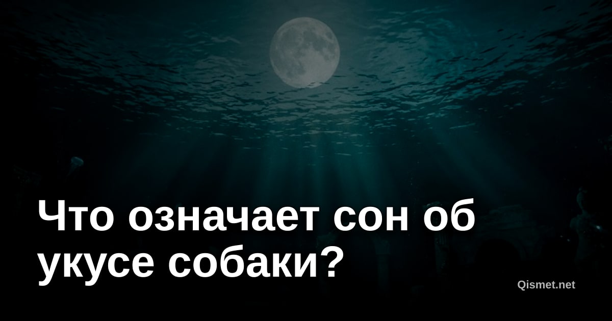 Что означает сон об укусе собаки?