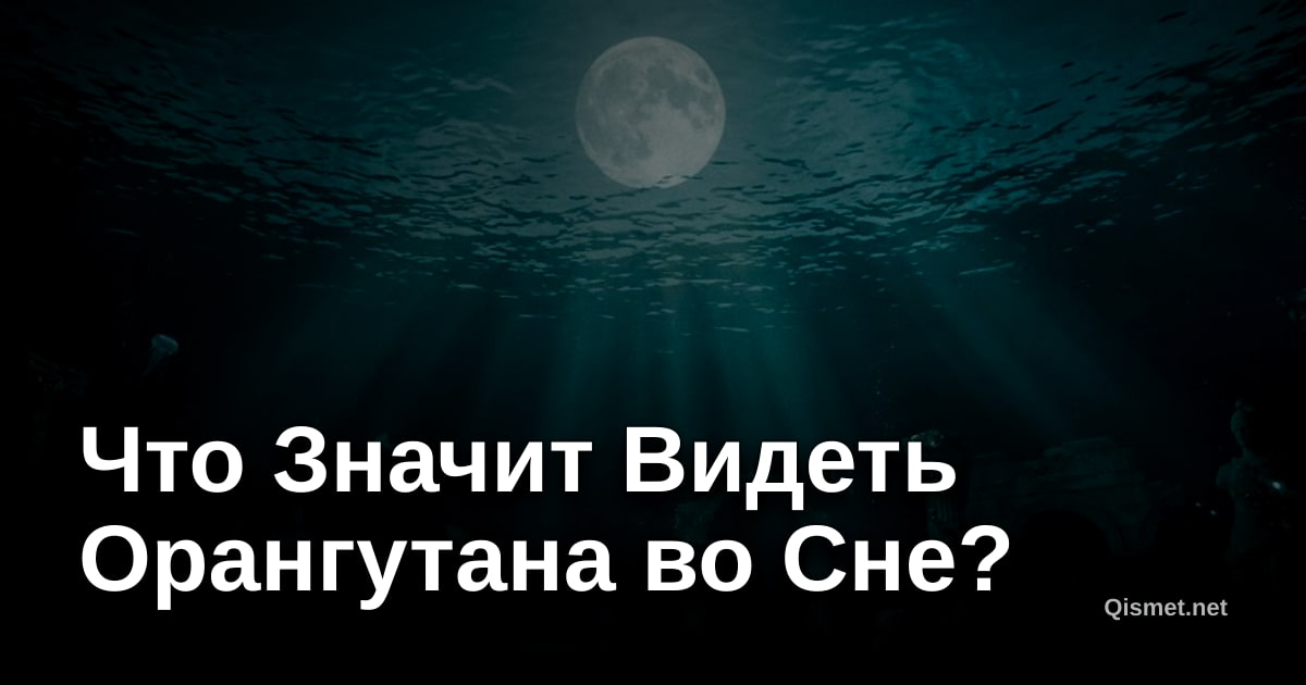 Что Значит Видеть Орангутана во Сне?
