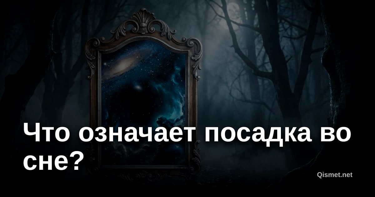 Что означает посадка во сне?