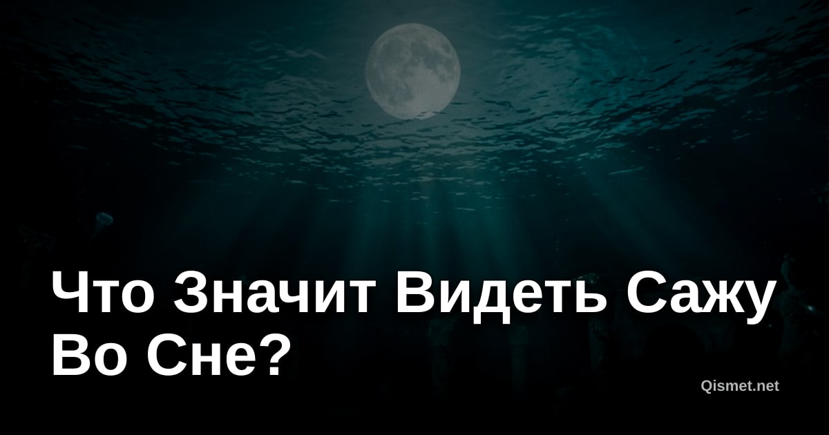 Что Значит Видеть Сажу Во Сне?