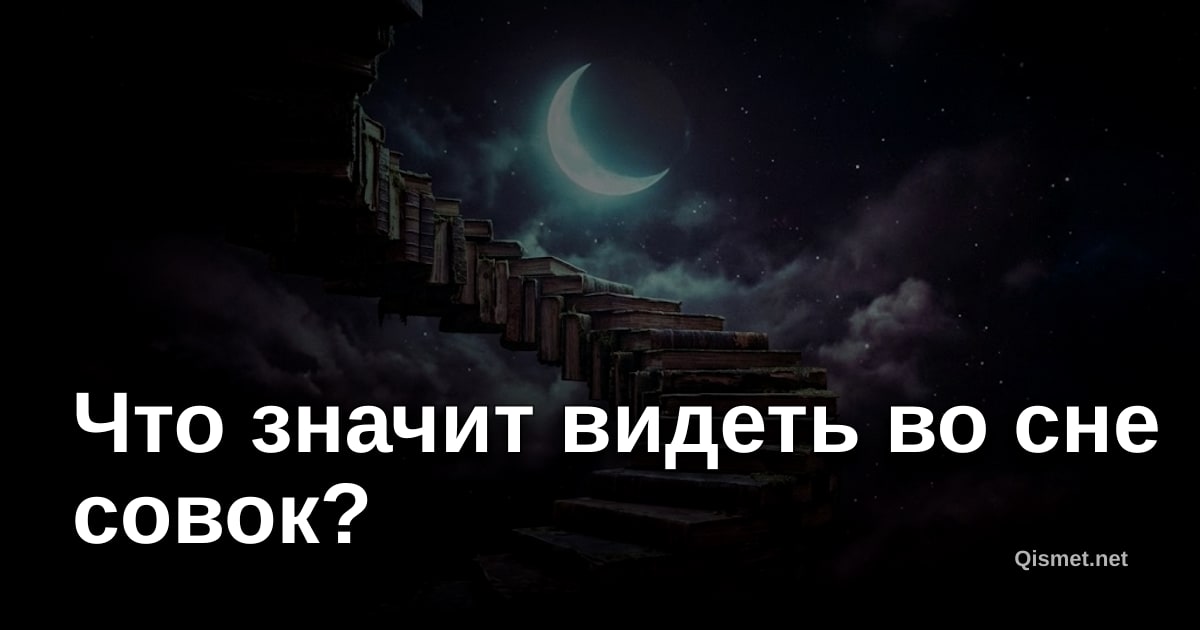 Что значит видеть во сне совок?