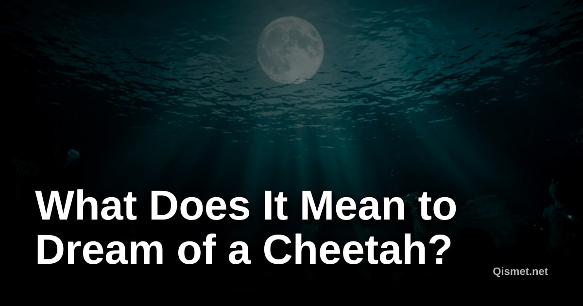 What Does It Mean to Dream of a Cheetah?